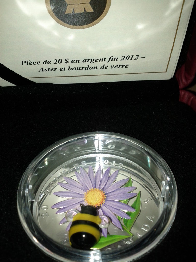 Bee 02.jpg