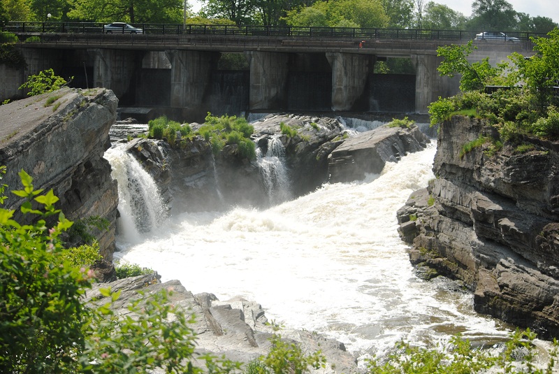 DSC_0340.JPG