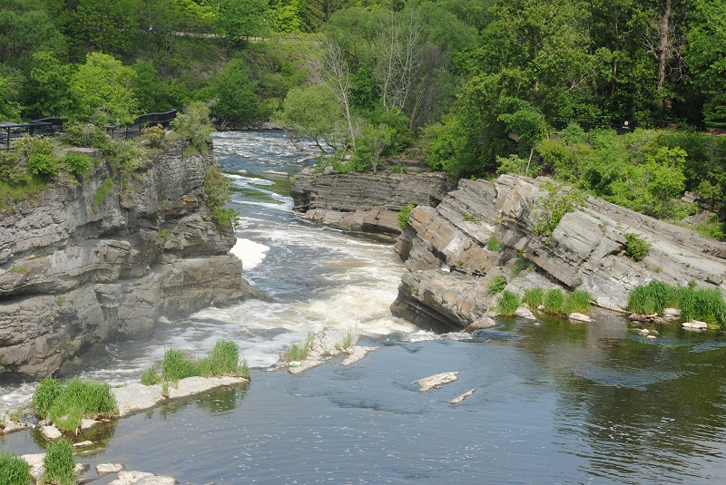 DSC_0348.JPG