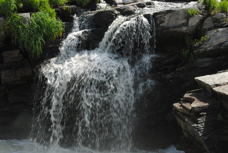 DSC_0365.JPG