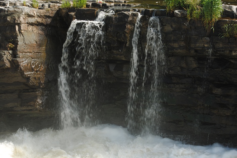DSC_0366.JPG