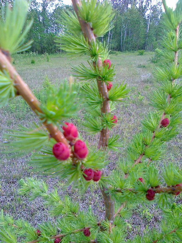 20130601097.jpg