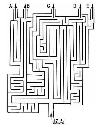 image.jpg