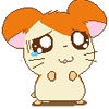 36.gif