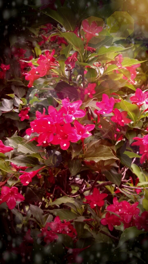 IMG_20130623_142705.jpg