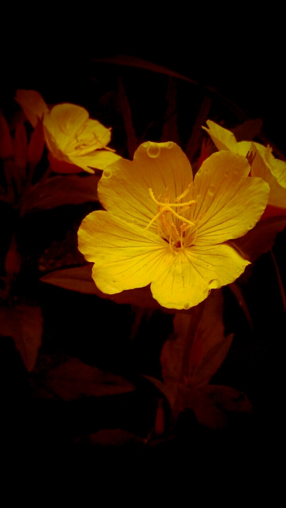 PicsArt_1372011653730.jpg