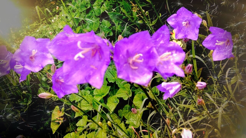 PicsArt_1372011562025.jpg