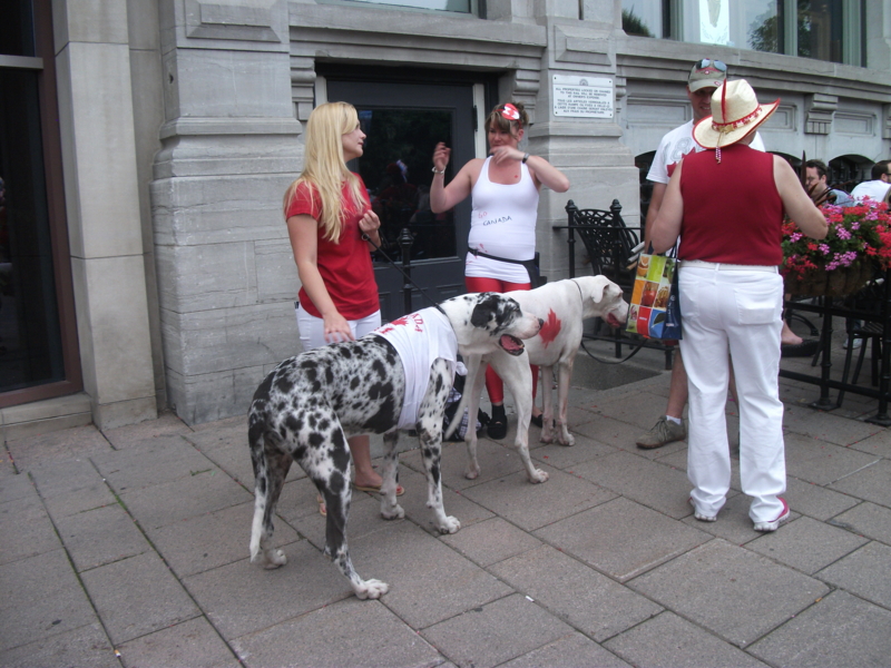 DSCF6022.JPG