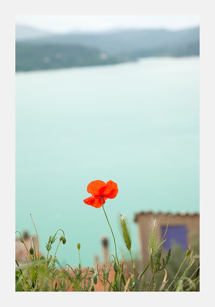 IMG_5142-Edit.jpg