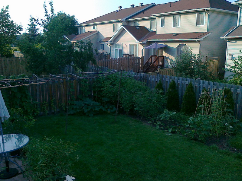 20130716171_调整大小.jpg