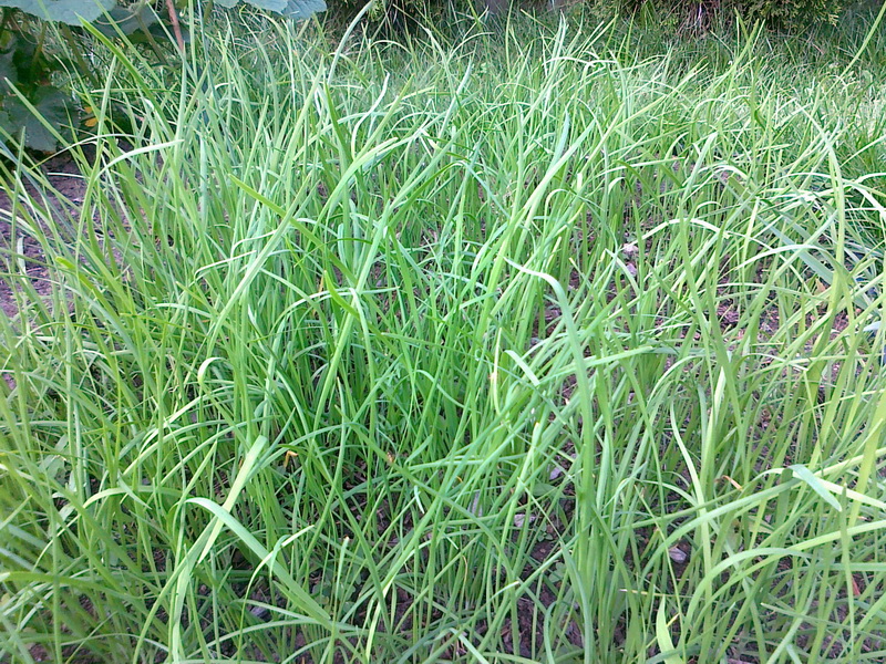 20130716173_调整大小.jpg