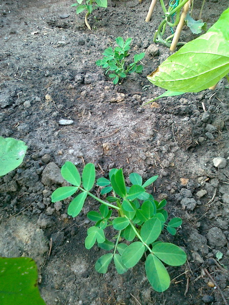 20130716176_调整大小.jpg