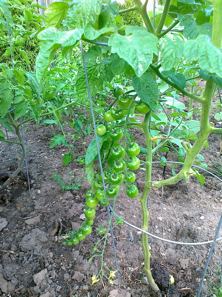 20130716178_调整大小.jpg