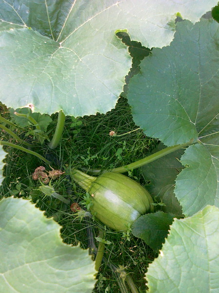 20130716179_调整大小.jpg