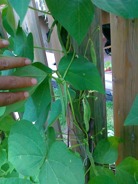 20130716181_调整大小.jpg
