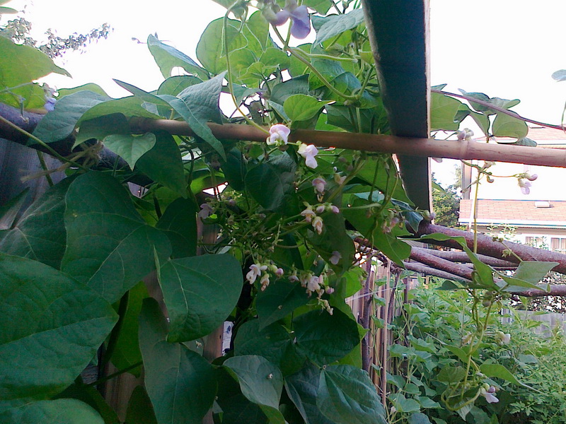 20130716182_调整大小.jpg