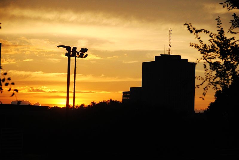 DSC_0119.JPG