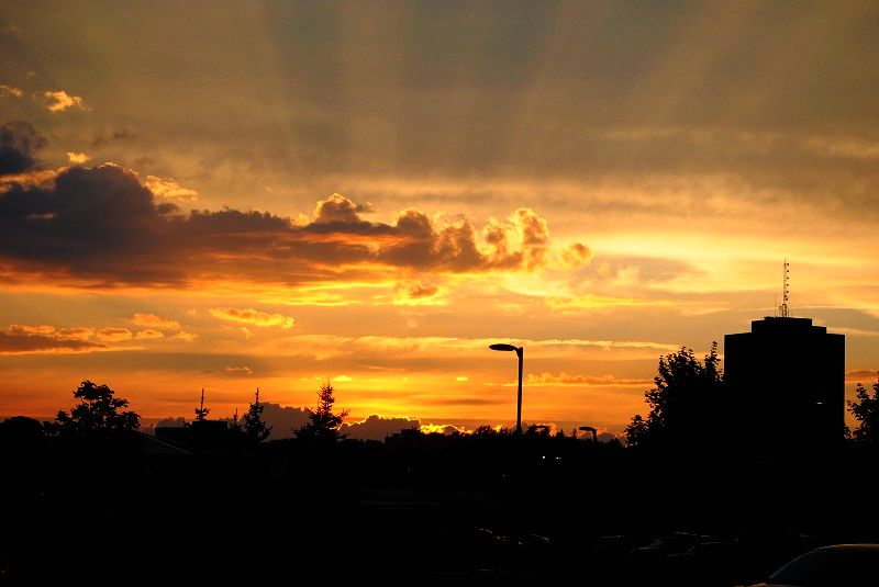 DSC_0130.JPG