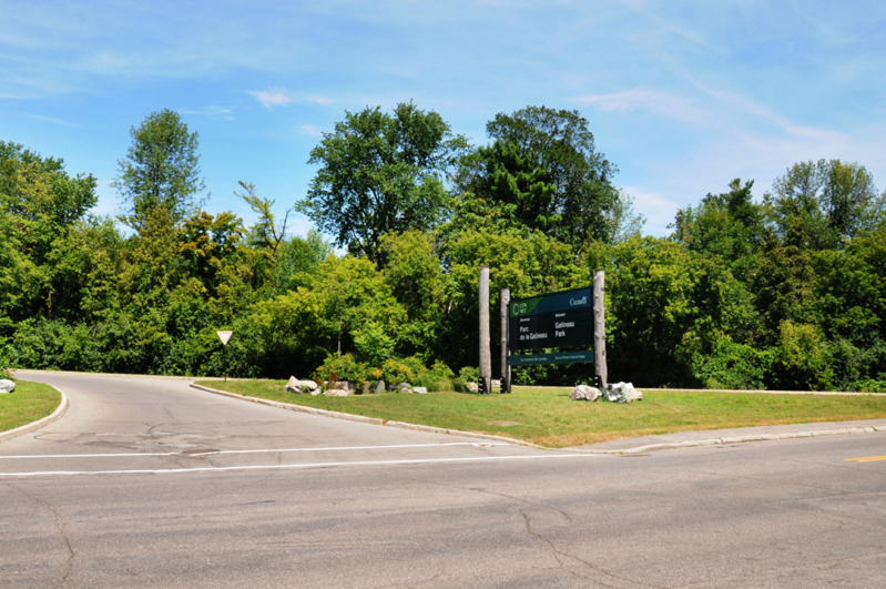 DSC_1484.jpg