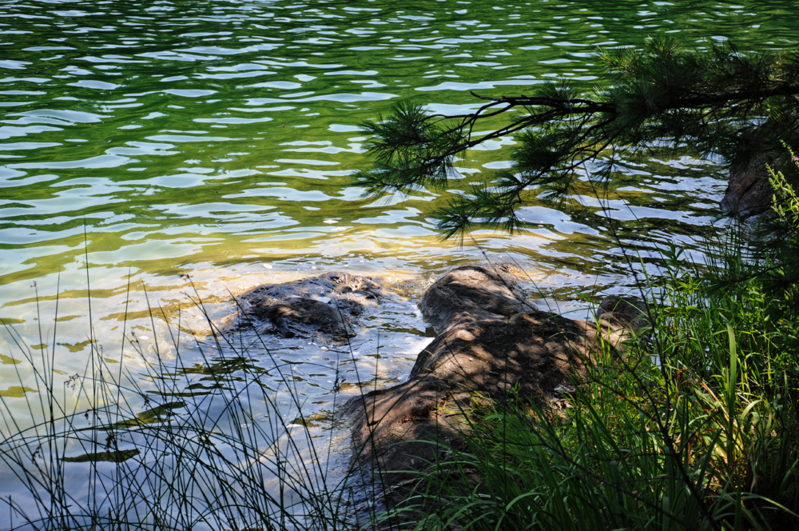 DSC_1505.jpg