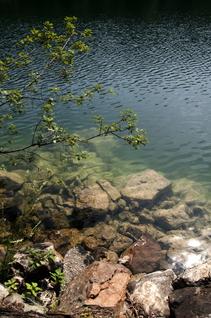 DSC_1588.jpg