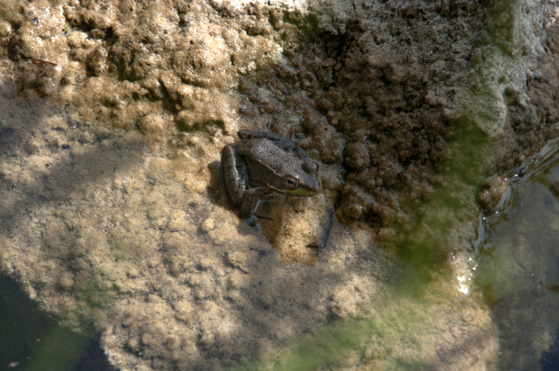 DSC_1585.jpg