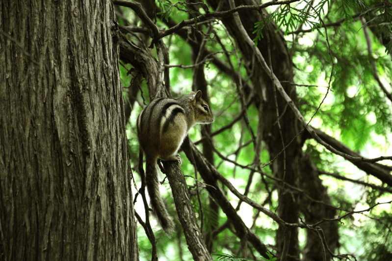 DSC_1656.jpg