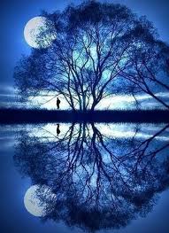 blue moonlight lake.jpg