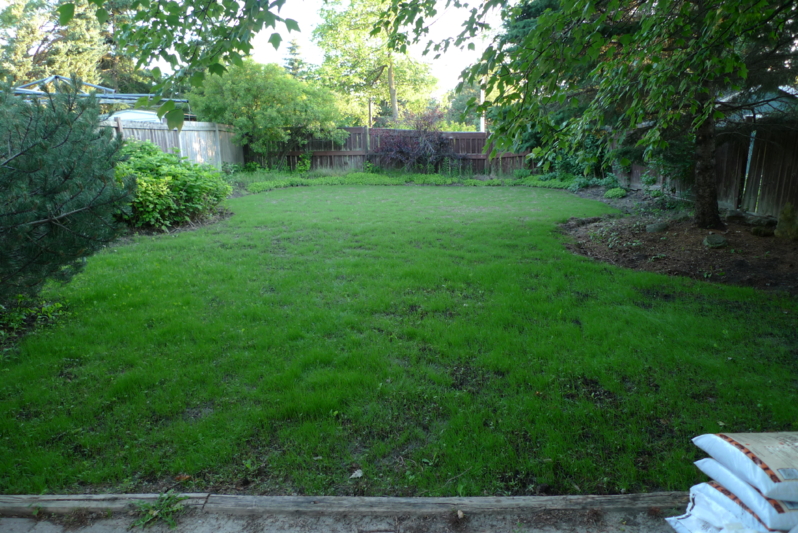 L1170951.JPG
