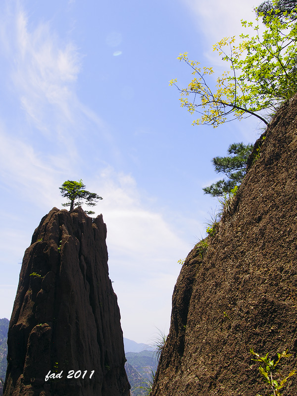 huangshan-183.jpg