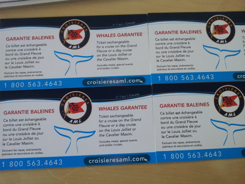 20130914_170529.jpg