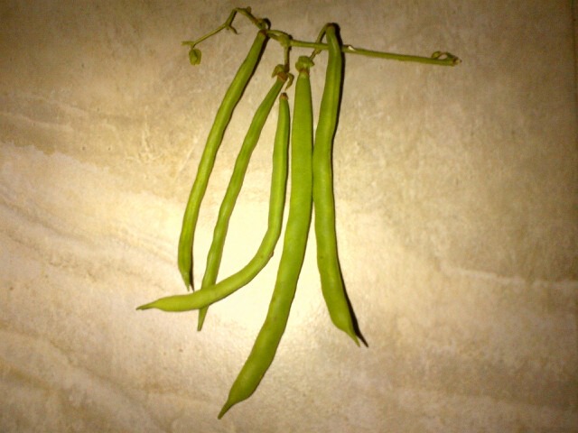 Ottawa-20130914-00775.jpg