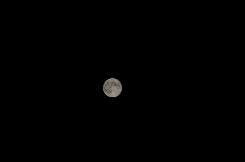 DSC_0485.JPG