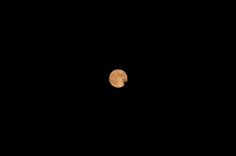 DSC_0450.JPG