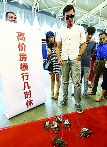20130920_8066.jpg