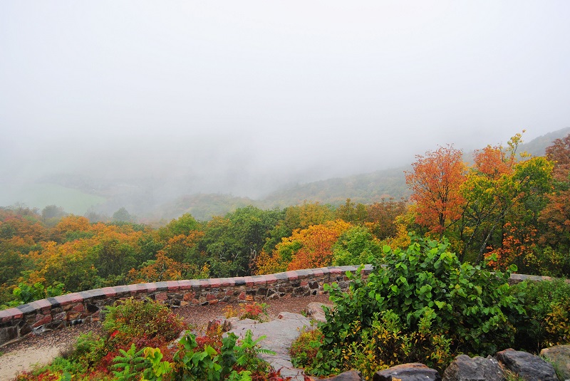 DSC_9819.JPG