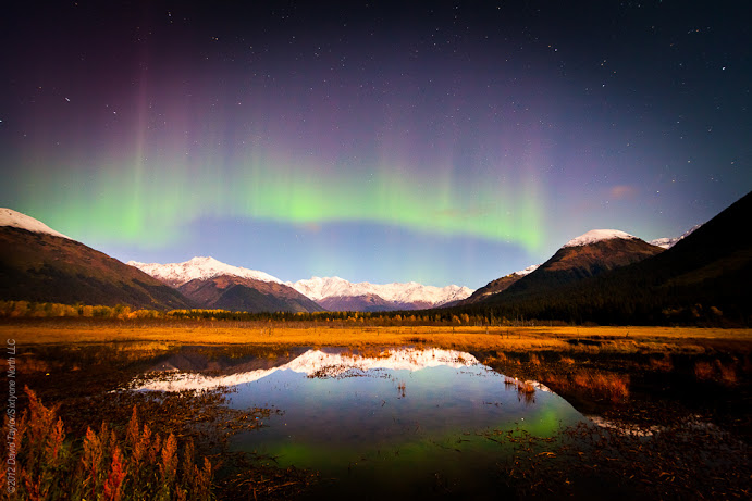 amazingnorthernlights.jpg