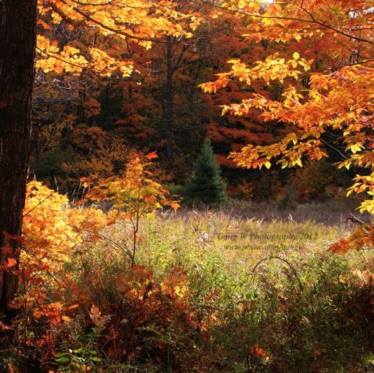 20121007_9171_800.jpg