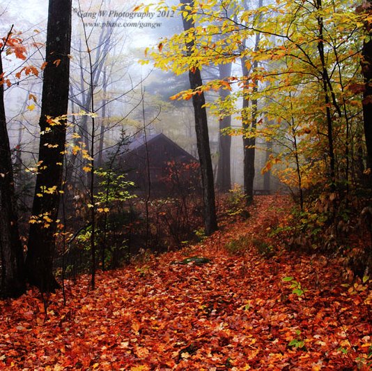 20121014_9366_800.jpg