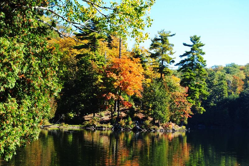 DSC_0097.JPG
