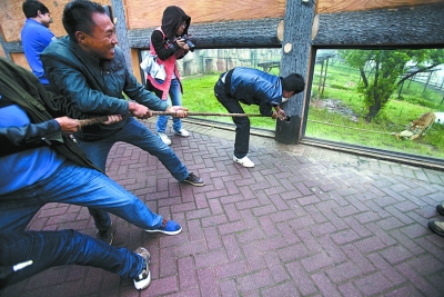45.jpg
