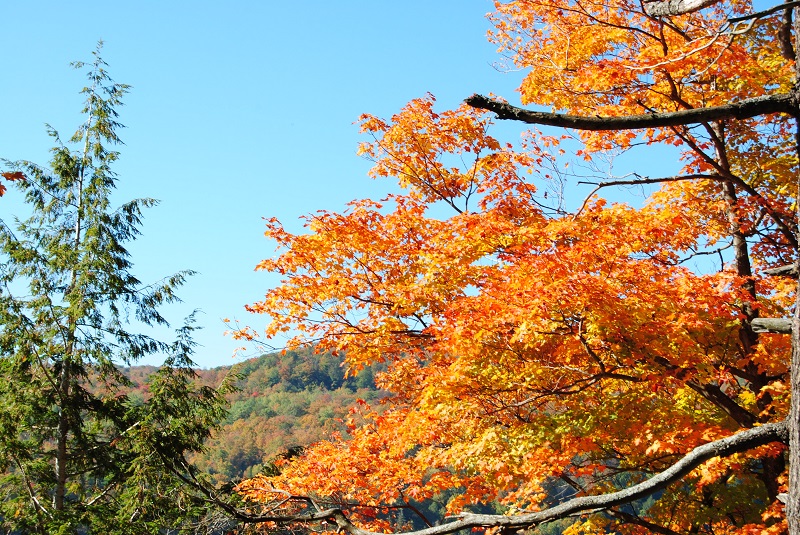 DSC_0080.JPG