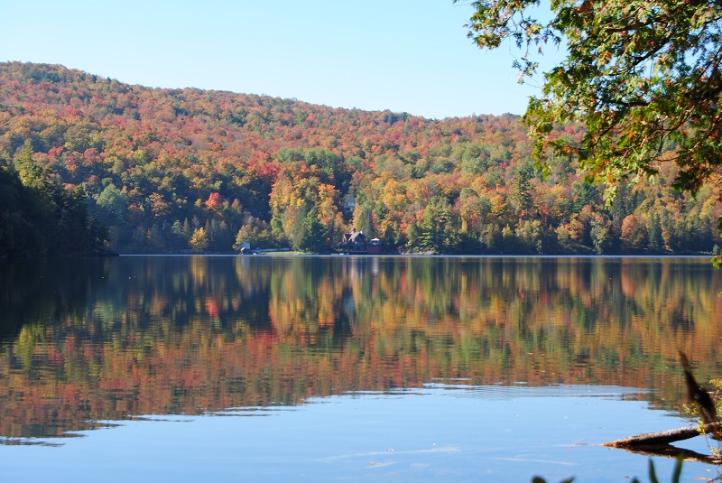 DSC_0087.JPG