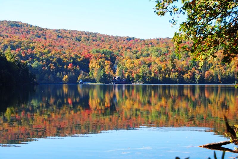 DSC_0087.JPG