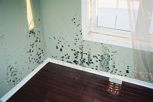 F1030011.jpg