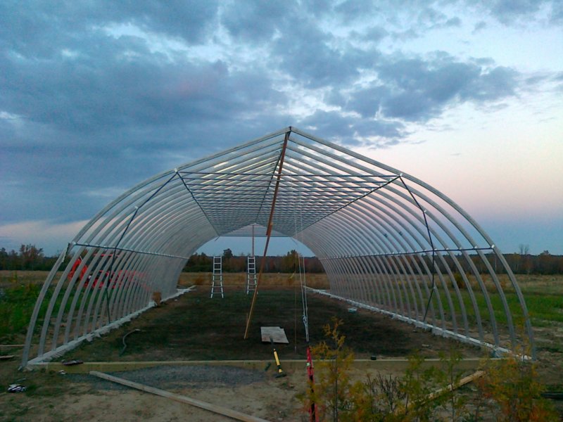 20131001341.jpg