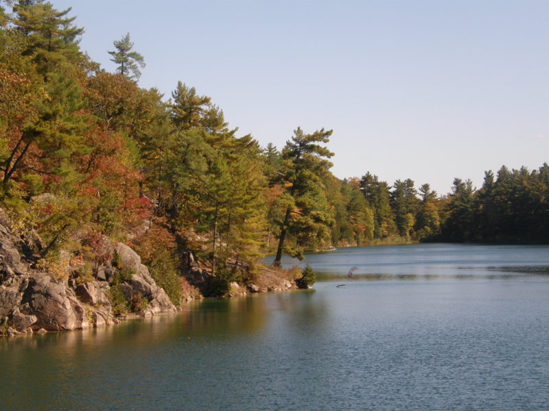 P1010005.JPG