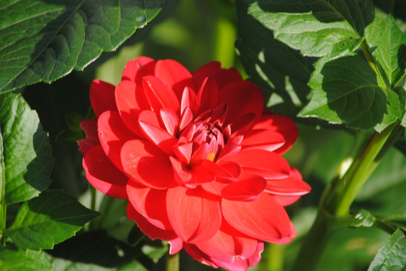 DSC_0015.JPG