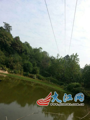 Img387669384.jpg