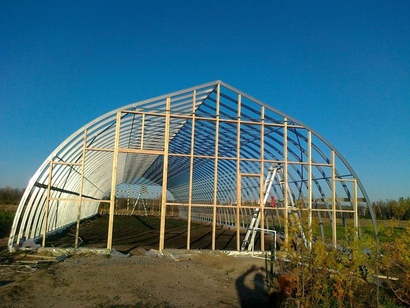 20131012353.jpg